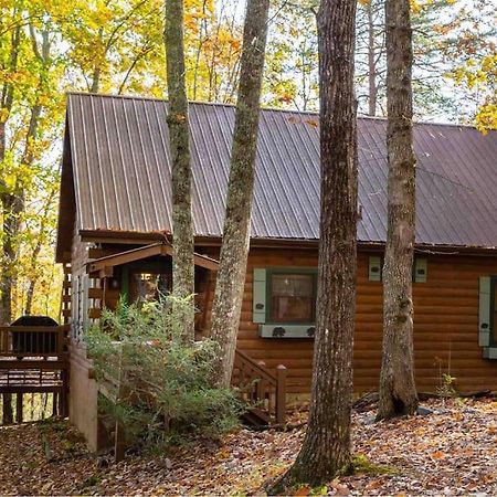 Вилла Mountain Time Cabin, Hot Tub, Fire Pit, Fireplace Блу-Ридж Экстерьер фото