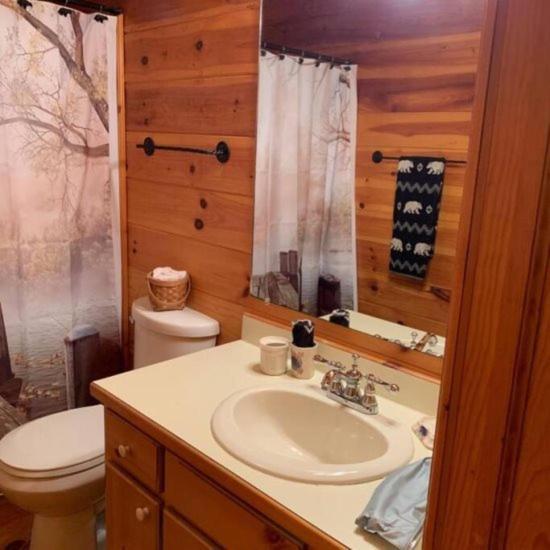 Вилла Mountain Time Cabin, Hot Tub, Fire Pit, Fireplace Блу-Ридж Экстерьер фото